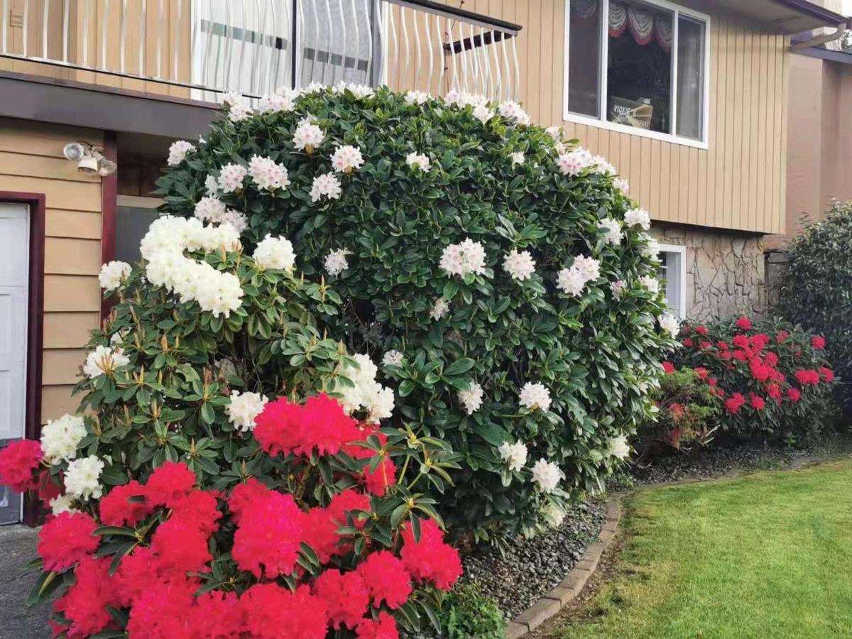 Richmond Vancouver Airport Comfy Home エクステリア 写真